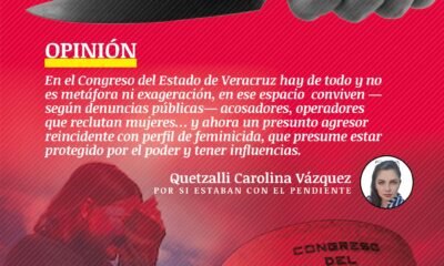 Congreso de Veracruz: Entre acosadores, reclutadores de mujeres y presuntos feminicidas